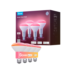 E26 Smart LED Color Changing Light Bulb - Govee
